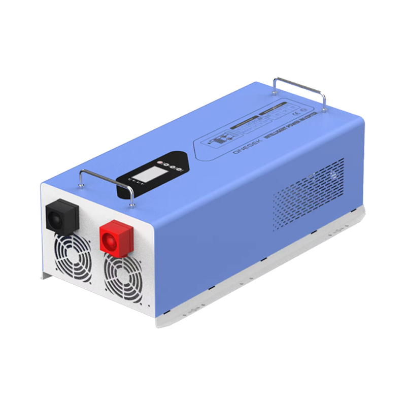 Low Frequency Pure Sine Wave Inverter 48V 24v to 220v 6000w Inverter Toroidal Transformer Inverter Solare 6000w